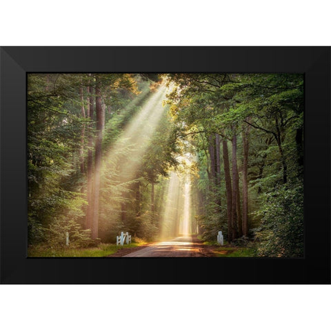 This Beam is Booming Black Modern Wood Framed Art Print by Van de Goor, Lars