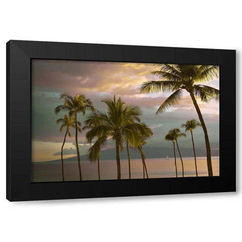 Hawaii Palm Sunset No. 1 Black Modern Wood Framed Art Print by Vargas, Carlos