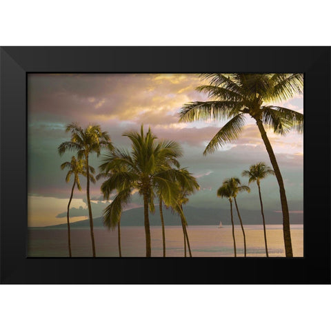 Hawaii Palm Sunset No. 1 Black Modern Wood Framed Art Print by Vargas, Carlos