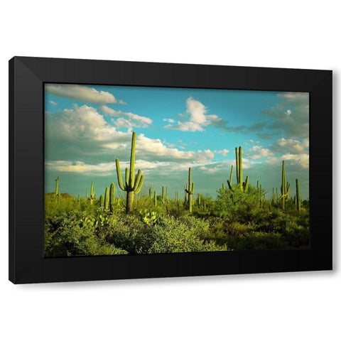 Saguaros No. 2 Black Modern Wood Framed Art Print by Vargas, Carlos