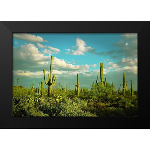 Saguaros No. 2 Black Modern Wood Framed Art Print by Vargas, Carlos