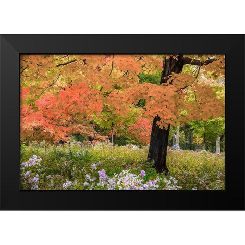 Autumn Splendor Black Modern Wood Framed Art Print by Varona, Verne
