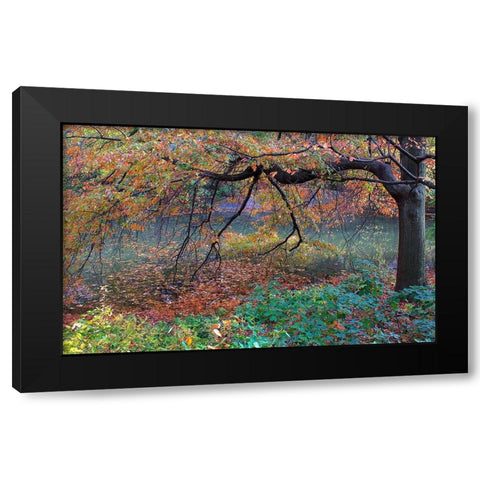 Fall Retreat Black Modern Wood Framed Art Print with Double Matting by Varona, Verne