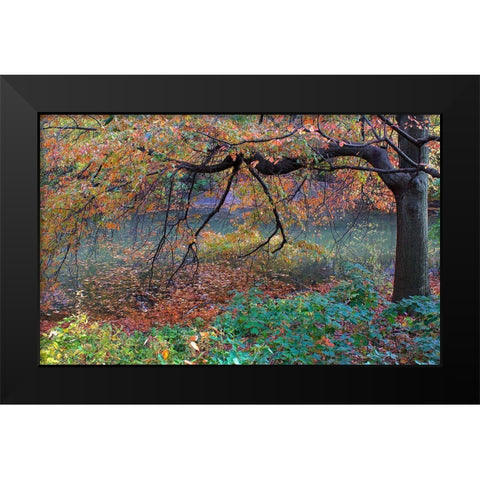 Fall Retreat Black Modern Wood Framed Art Print by Varona, Verne