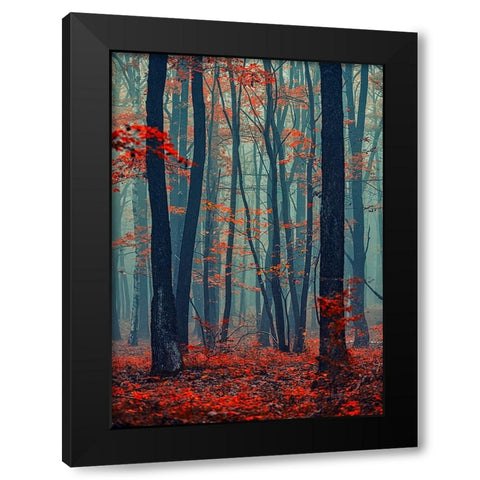 Autumn Forest In The Mist Black Modern Wood Framed Art Print by Vitomirov, Igor