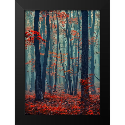 Autumn Forest In The Mist Black Modern Wood Framed Art Print by Vitomirov, Igor