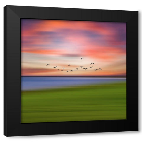 Birds In The Sunset Black Modern Wood Framed Art Print by Vitomirov, Igor