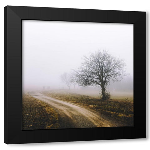 Lonely Tree In The Mist Black Modern Wood Framed Art Print with Double Matting by Vitomirov, Igor