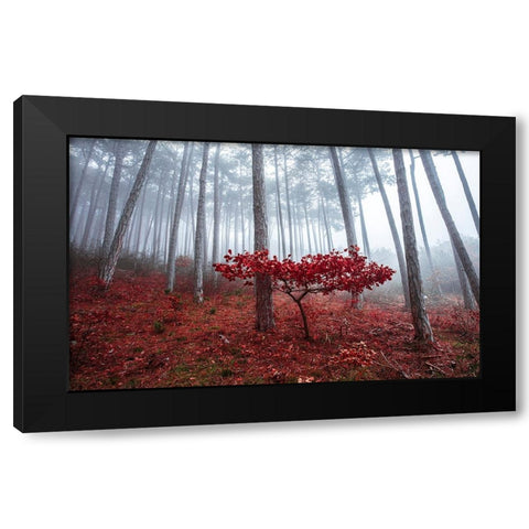 Misty Autumn Black Modern Wood Framed Art Print with Double Matting by Vitomirov, Igor