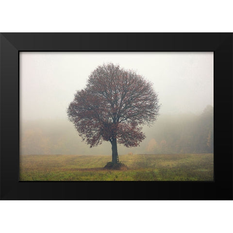 Tree In The Mist Black Modern Wood Framed Art Print by Vitomirov, Igor