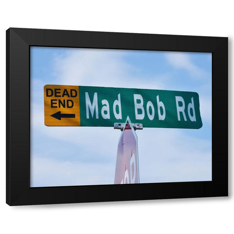 Mad Bob Black Modern Wood Framed Art Print by Vaughn, Steve
