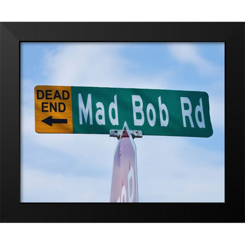 Mad Bob Black Modern Wood Framed Art Print by Vaughn, Steve