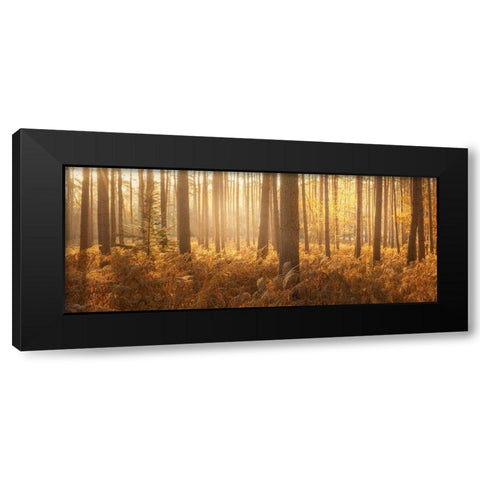 Wyre Forest Black Modern Wood Framed Art Print by Winstanley, Ian