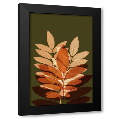 Fall Leaves 4 Black Modern Wood Framed Art Print with Double Matting by Winstanley, Ian