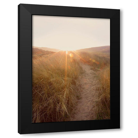 Dunes with Seagulls 4 Black Modern Wood Framed Art Print by Winstanley, Ian