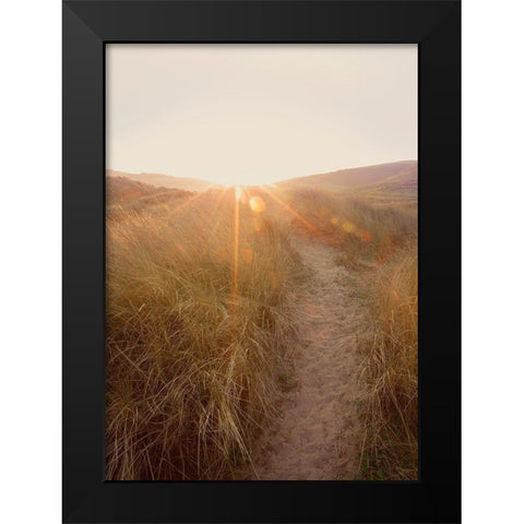 Dunes with Seagulls 4 Black Modern Wood Framed Art Print by Winstanley, Ian