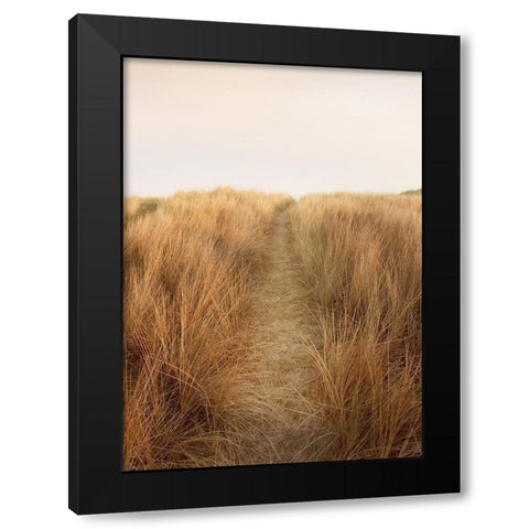 Dunes with Seagulls 6 Black Modern Wood Framed Art Print with Double Matting by Winstanley, Ian