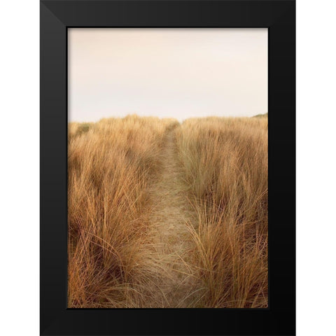 Dunes with Seagulls 6 Black Modern Wood Framed Art Print by Winstanley, Ian