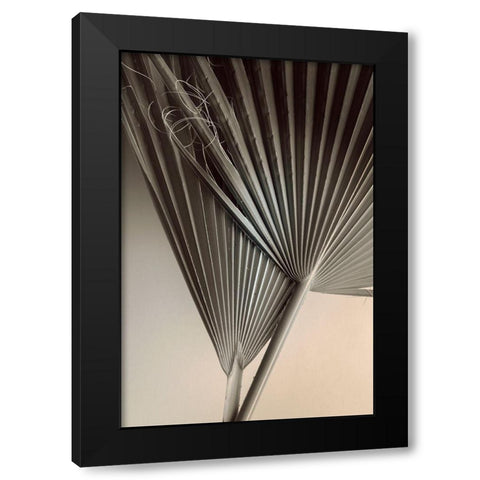 Fan Detail 8 Black Modern Wood Framed Art Print by Winstanley, Ian