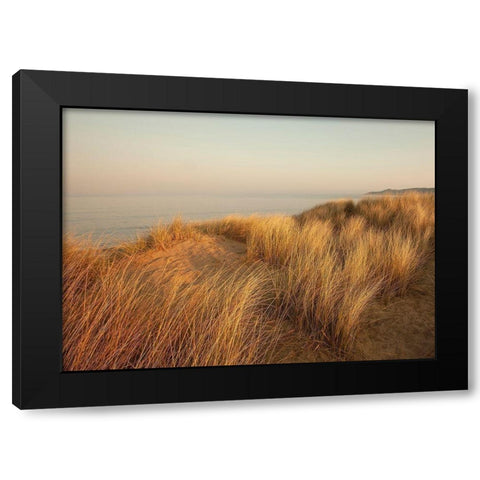 Dunes with Seagulls 7 Black Modern Wood Framed Art Print with Double Matting by Winstanley, Ian