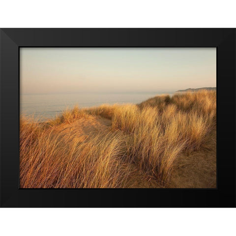 Dunes with Seagulls 7 Black Modern Wood Framed Art Print by Winstanley, Ian