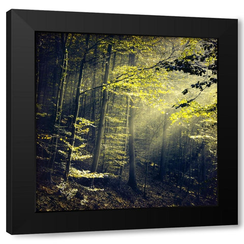 Being There Revisited Black Modern Wood Framed Art Print with Double Matting by Wustenhagen, Dirk