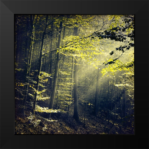 Being There Revisited Black Modern Wood Framed Art Print by Wustenhagen, Dirk