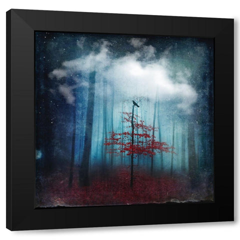 Dream State Black Modern Wood Framed Art Print with Double Matting by Wustenhagen, Dirk