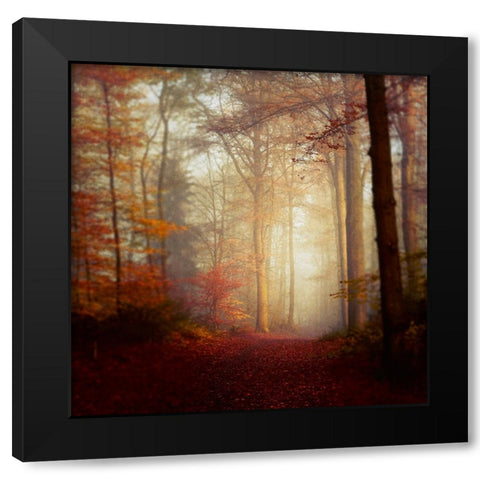 Fall Hike Black Modern Wood Framed Art Print by Wustenhagen, Dirk