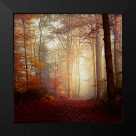 Fall Hike Black Modern Wood Framed Art Print by Wustenhagen, Dirk