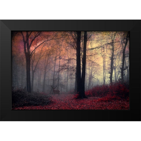 Forest Dream Black Modern Wood Framed Art Print by Wustenhagen, Dirk