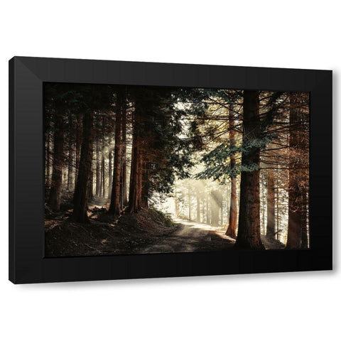 Light Magic Black Modern Wood Framed Art Print with Double Matting by Wustenhagen, Dirk