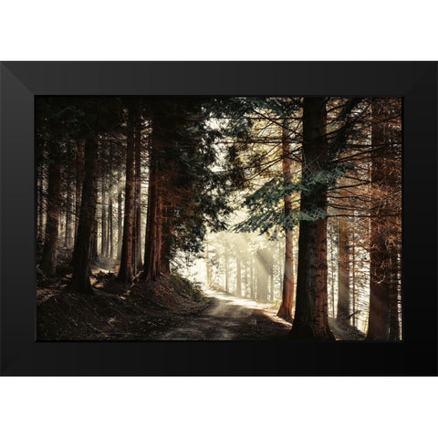 Light Magic Black Modern Wood Framed Art Print by Wustenhagen, Dirk