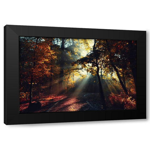 Magic Forest Light Black Modern Wood Framed Art Print with Double Matting by Wustenhagen, Dirk