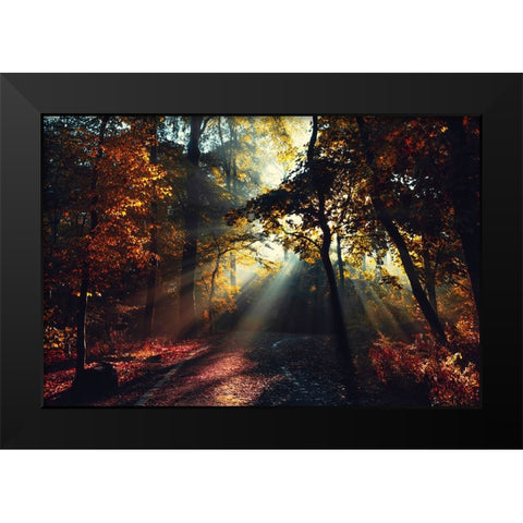 Magic Forest Light Black Modern Wood Framed Art Print by Wustenhagen, Dirk