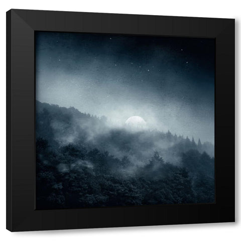 Night Shadows Black Modern Wood Framed Art Print with Double Matting by Wustenhagen, Dirk