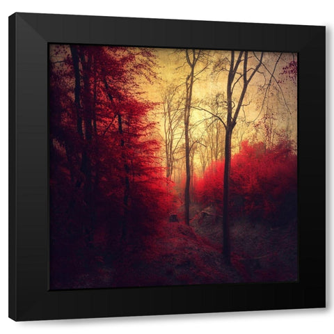 Ruby Red Forest Black Modern Wood Framed Art Print with Double Matting by Wustenhagen, Dirk