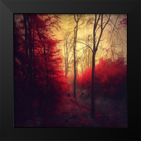 Ruby Red Forest Black Modern Wood Framed Art Print by Wustenhagen, Dirk