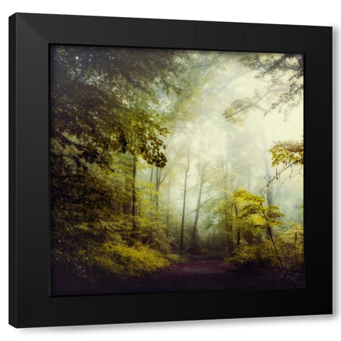 Glorious Woods Black Modern Wood Framed Art Print with Double Matting by Wuestenhagen, Dirk