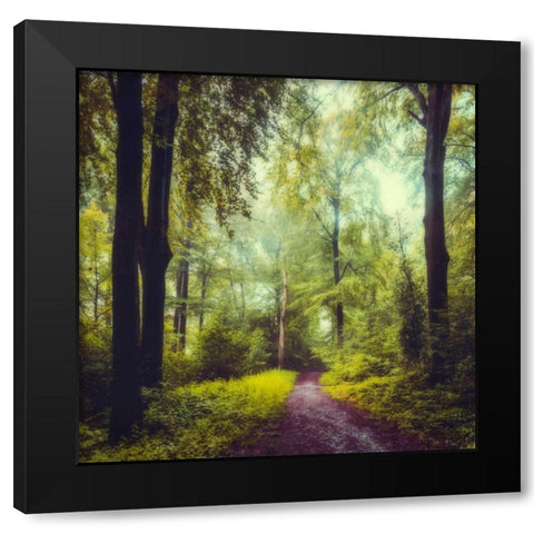 Never the Same Again Black Modern Wood Framed Art Print by Wuestenhagen, Dirk