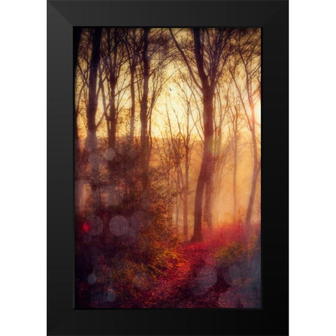 Seasons Light Black Modern Wood Framed Art Print by Wuestenhagen, Dirk