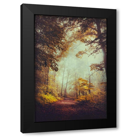 Silent Forest Black Modern Wood Framed Art Print by Wuestenhagen, Dirk