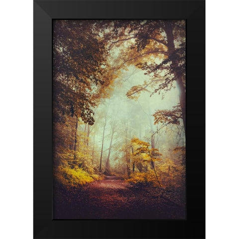 Silent Forest Black Modern Wood Framed Art Print by Wuestenhagen, Dirk