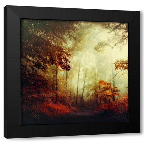 Thats Not My Way Black Modern Wood Framed Art Print by Wuestenhagen, Dirk