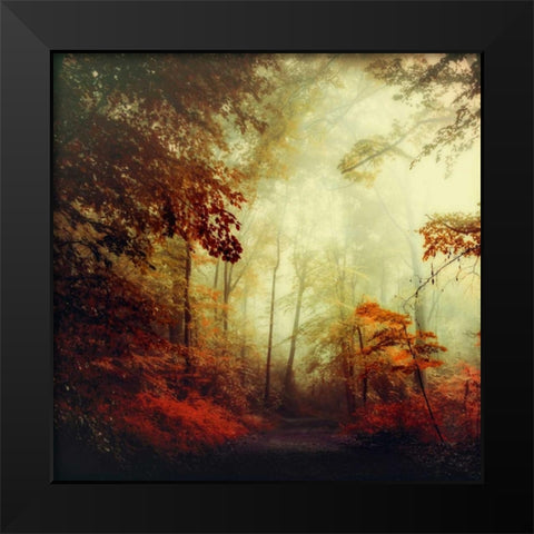 Thats Not My Way Black Modern Wood Framed Art Print by Wuestenhagen, Dirk