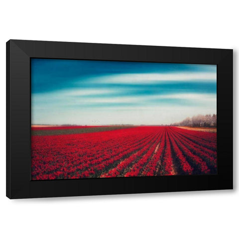 Tulips Black Modern Wood Framed Art Print by Wuestenhagen, Dirk