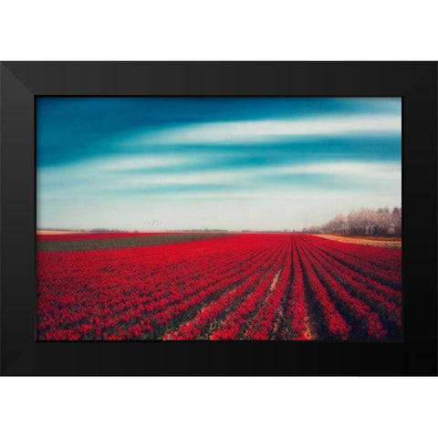 Tulips Black Modern Wood Framed Art Print by Wuestenhagen, Dirk