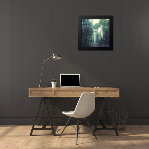 Waldweg Black Modern Wood Framed Art Print by Wuestenhagen, Dirk