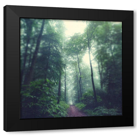 Waldweg Black Modern Wood Framed Art Print with Double Matting by Wuestenhagen, Dirk