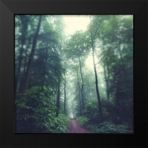 Waldweg Black Modern Wood Framed Art Print by Wuestenhagen, Dirk